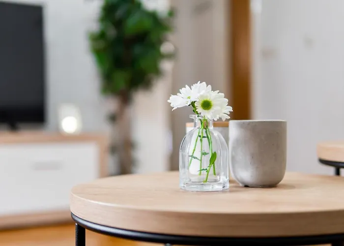 Ana-marija * מאקרסקה